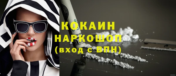 ешки Алексин