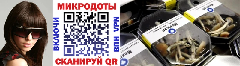 Галлюциногенные грибы мухоморы  Исилькуль 